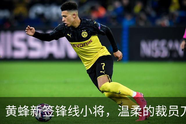 黄蜂新签锋线小将，温柔的裁员刀将挥下？