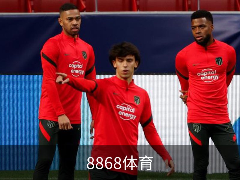 8868体育简介